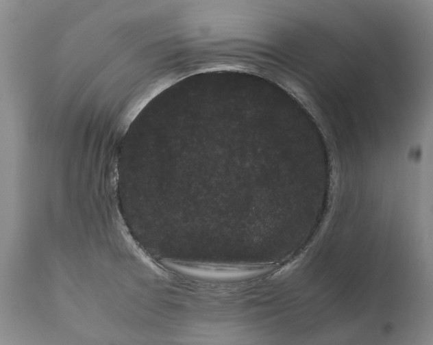 X0000111121377200907211040