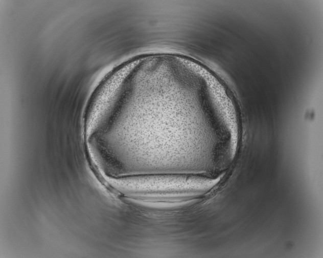 X0000111121380200907211040