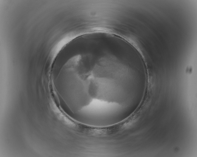 X0000111121381200907211040