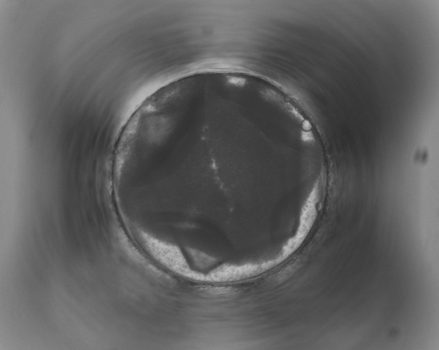 X0000111121382200907211040