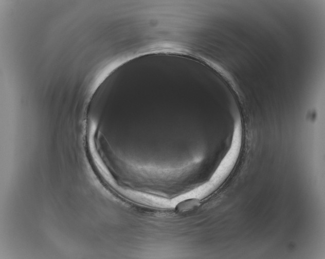 X0000111121383200907211040