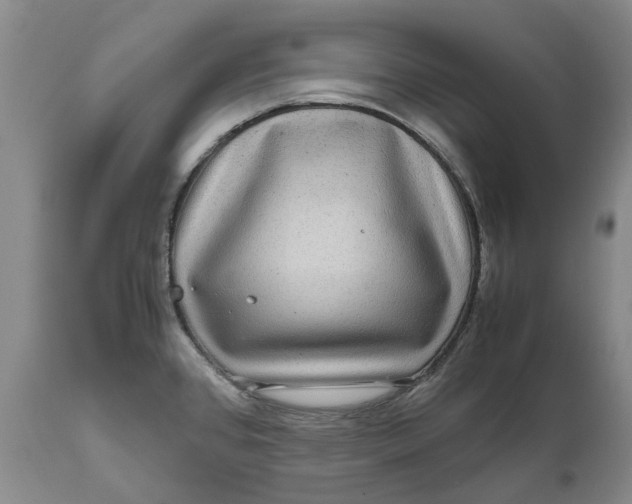 X0000111121384200907211040