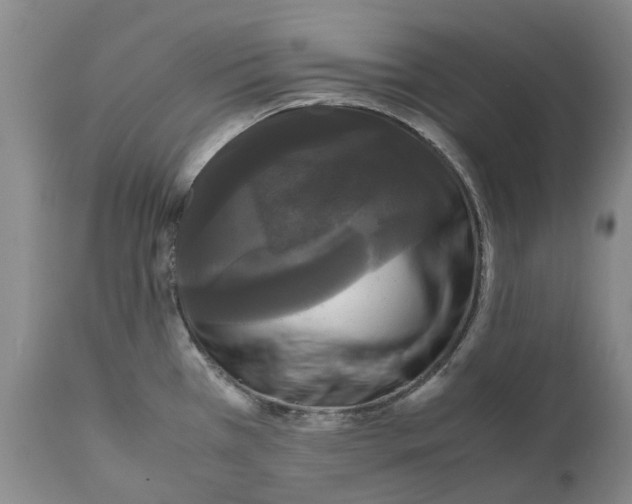 X0000111121385200907211040