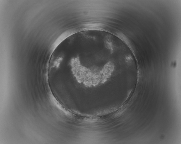 X0000111121386200907211040