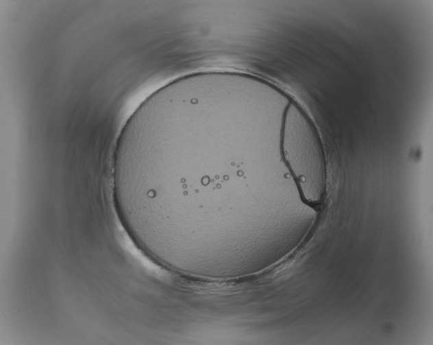 X0000111121387200907211040