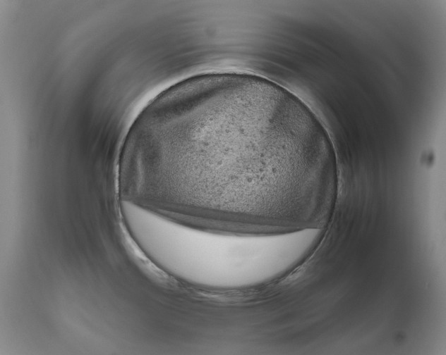 X0000111121388200907211040