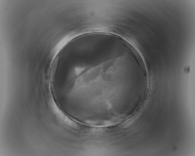 X0000111121389200907211040