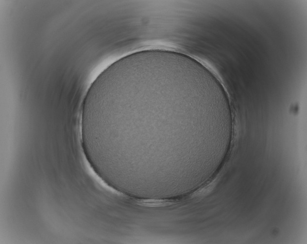 X0000111121391200907211040