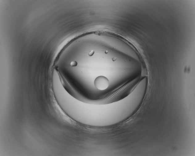 X0000111121392200907211040