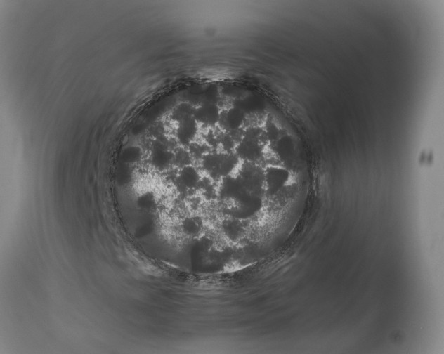 X0000111121393200907211039