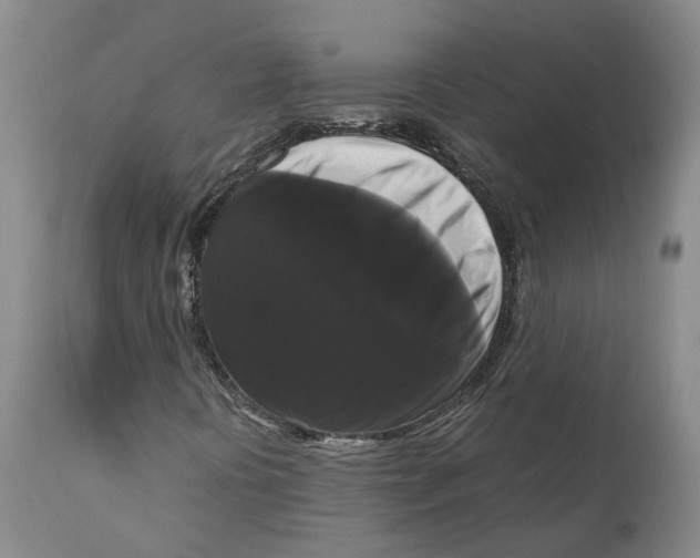 X0000111121394200907211039