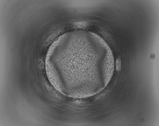 X0000111121395200907211039