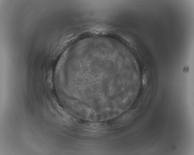 X0000111121396200907211039