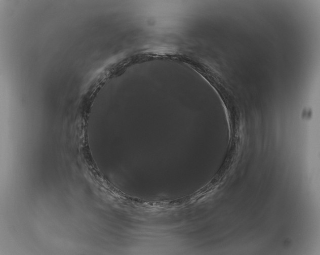 X0000111121398200907211039