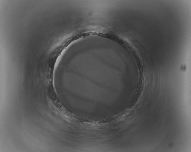 X0000111121399200907211039