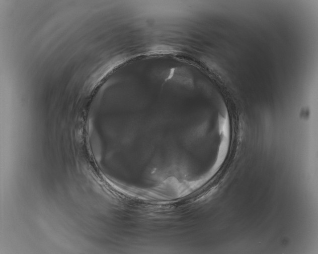 X0000111121401200907211039