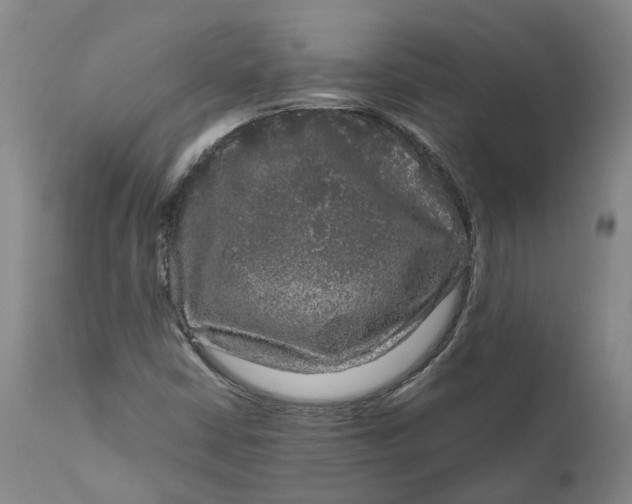 X0000111121402200907211039