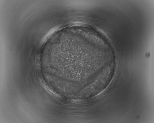 X0000111121403200907211039