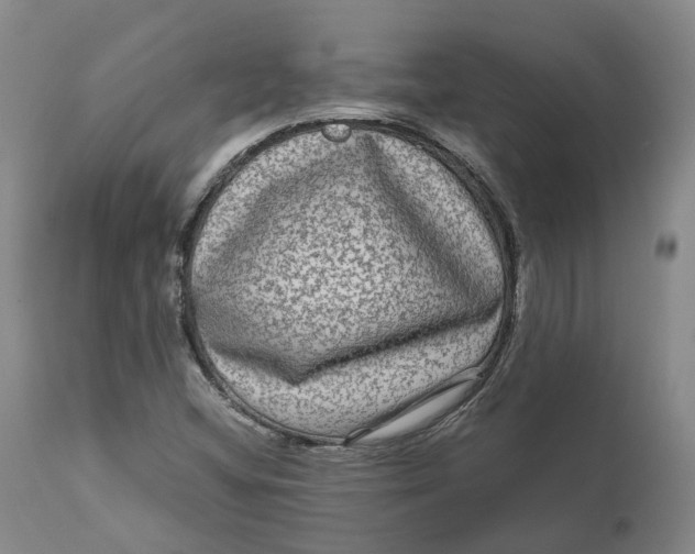 X0000111121404200907211039