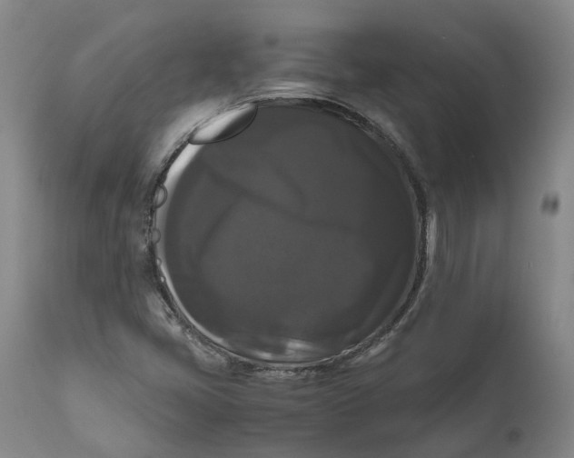 X0000111121405200907211039