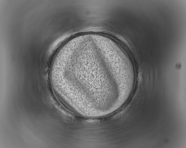 X0000111121406200907211039