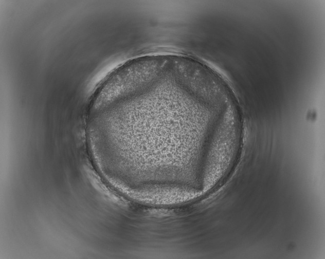 X0000111121407200907211039