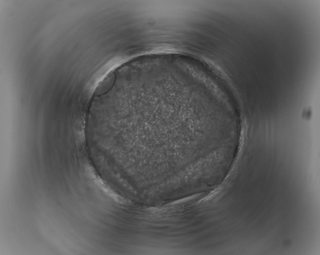 X0000111121409200907211039