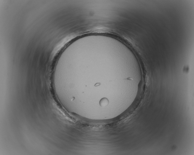 X0000111121410200907211039