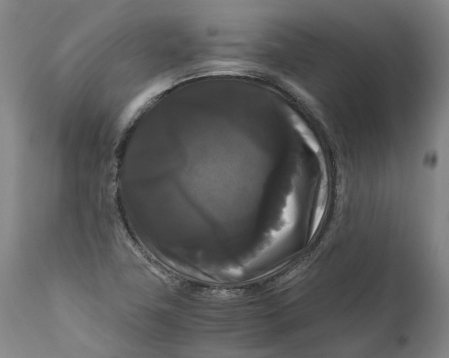 X0000111121411200907211039