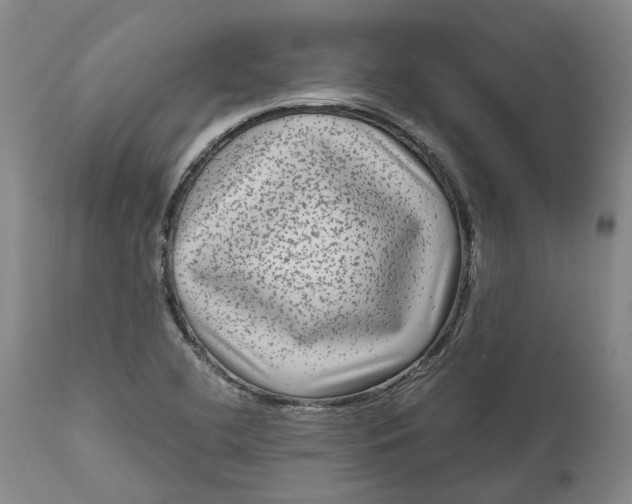 X0000111121412200907211039