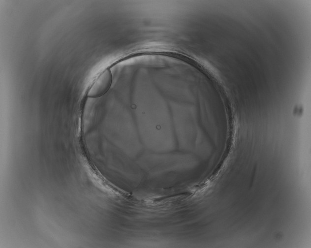 X0000111121413200907211039