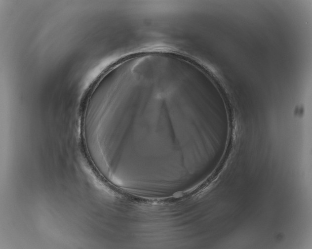 X0000111121414200907211039