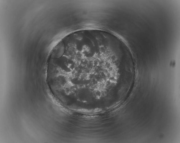 X0000111121415200907211039