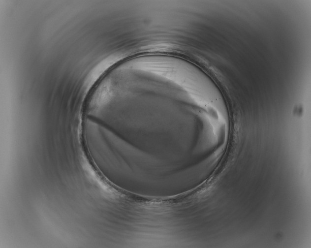 X0000111121418200907211039