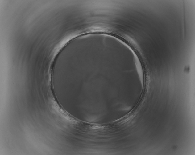 X0000111121419200907211039