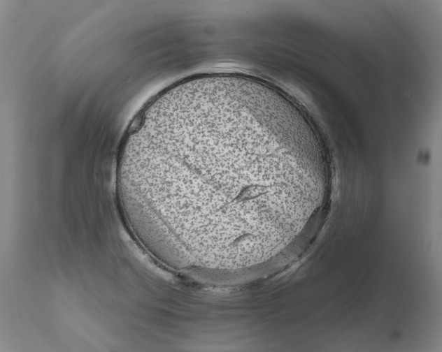 X0000111121420200907211039