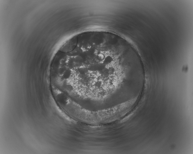 X0000111121421200907211039