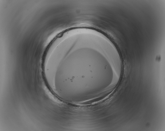 X0000111121422200907211039