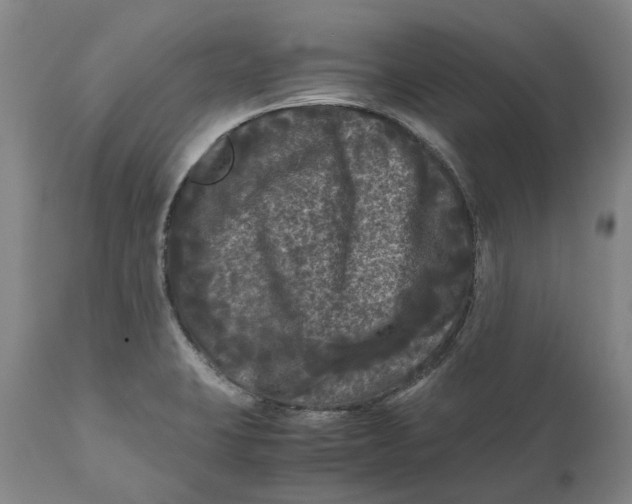 X0000111121423200907211040