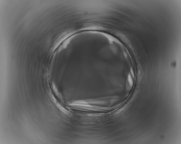 X0000111121425200907211040