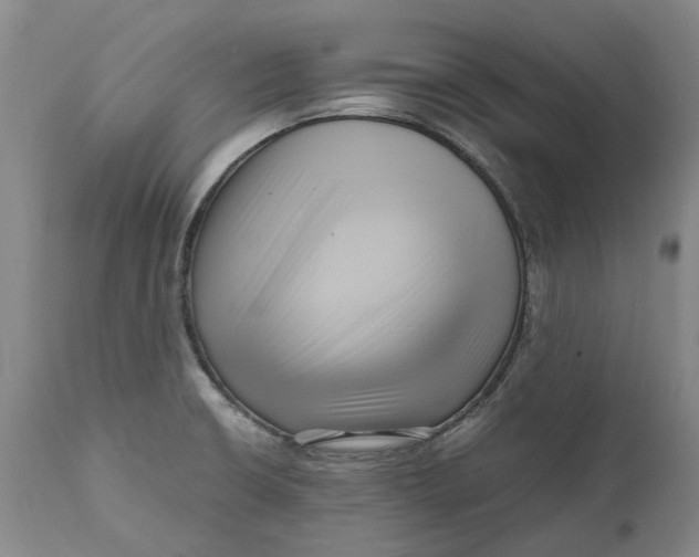 X0000111121426200907211040