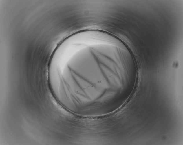 X0000111121428200907211040