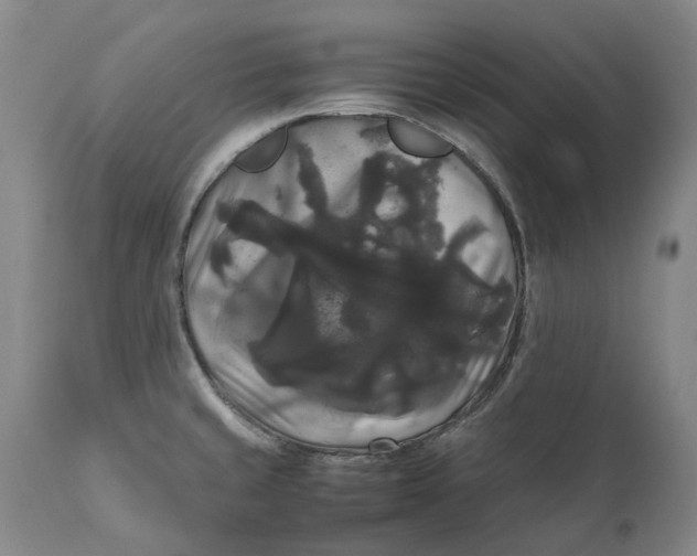 X0000111121429200907211040