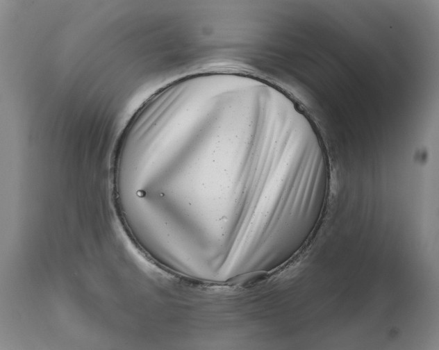 X0000111121430200907211040