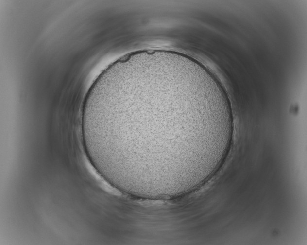 X0000111121432200907211040