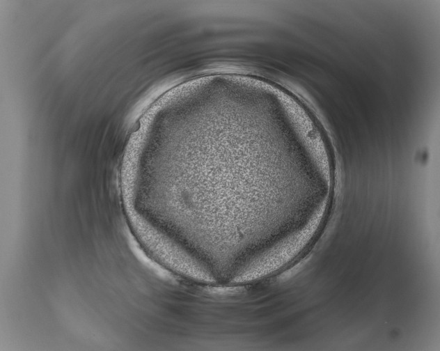 X0000111121433200907211040