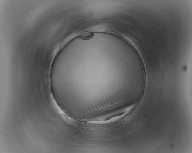 X0000111121434200907211040