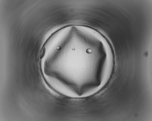 X0000111121437200907211040