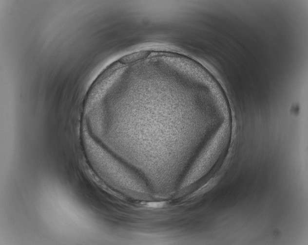 X0000111121438200907211040