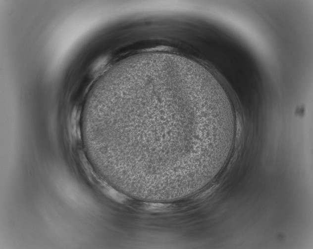 X0000111121439200907211040